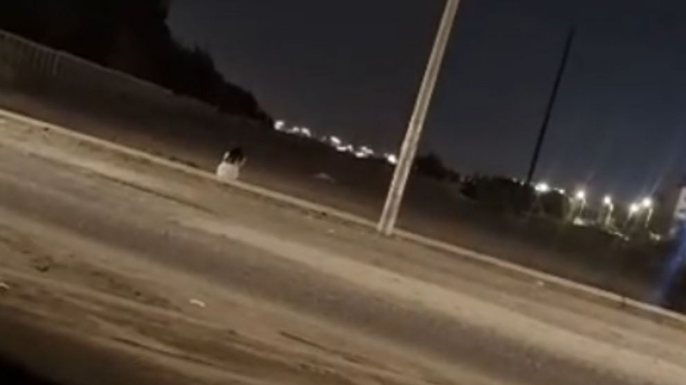 Un hombre mostró en video cómo se topó con una figura blanca en plena ruta y su llanto lo dejó paralizado (Captura video).