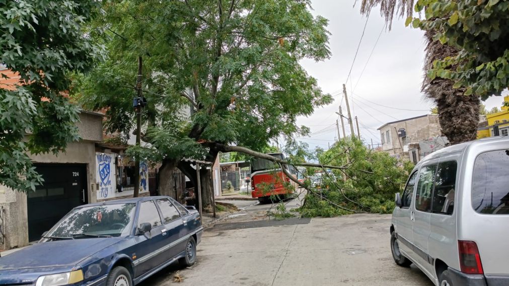 Ráfagas y lluvia: así impactó el temporal en Quilmes