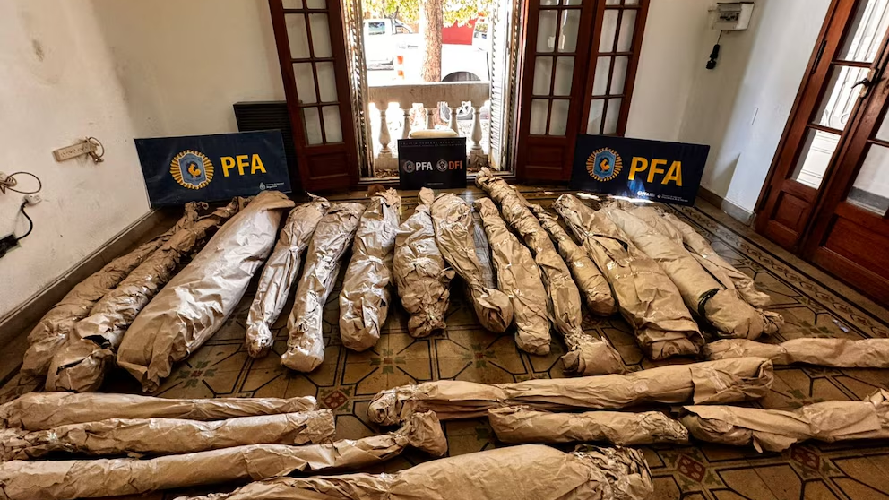 Macabro hallazgo en Córdoba: desbaratan un vivero ilegal de marihuana y encuentran diez cráneos humanos