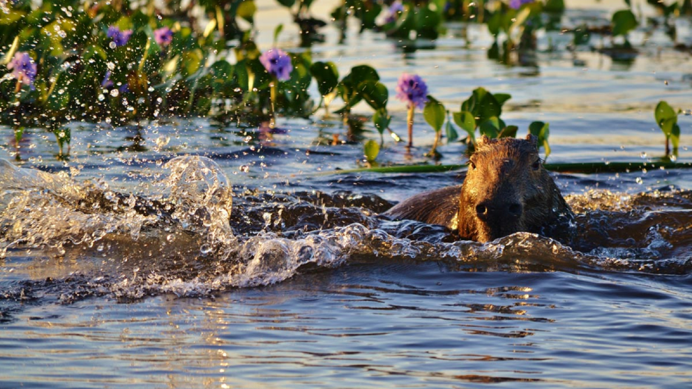 Un escenario salvaje y sereno donde el agua, la vegetaci�n y el cielo se encuentran en perfecta armon�a.