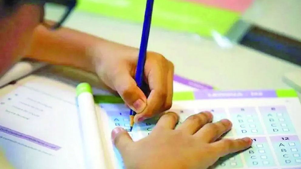 Cómo iniciar el reclamo si no cobraste la Ayuda Escolar Anual de la ANSES.