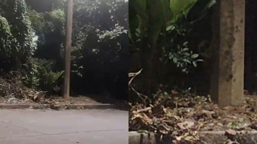La extraña figura "paranormal" se hizo presente en una noche tranquila y el video de llenó de millones de vistas (Captura video).