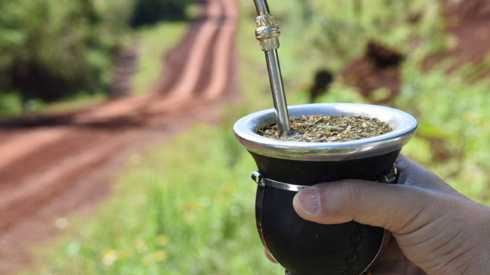 Un recorrido entre plantaciones y secaderos donde nace una de las tradiciones más representativas del país.