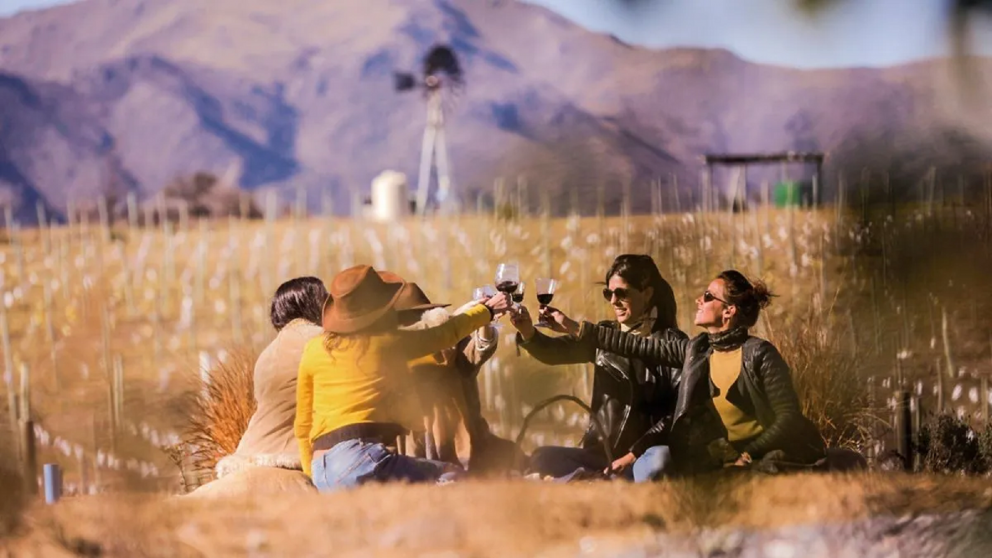Viñedos enmarcados por sierras y cielos abiertos: una experiencia que combina naturaleza y producción local.