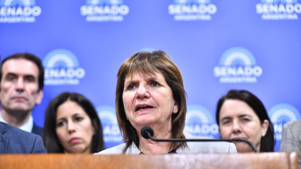 Patricia Bullrich pidi� defender la democracia y la Rep�blica.