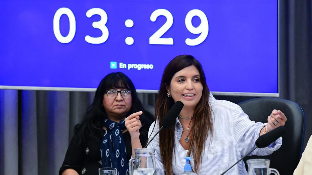 Daniela Vilar sobre la modificación de la Ley de Glaciares: "No avancen porque el daño será irreversible"