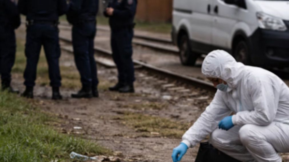 Personal de la Policía Científica en el lugar del hecho.