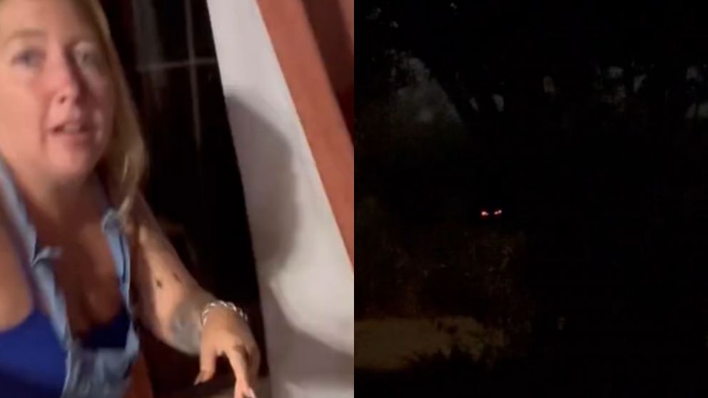 Una extraña figura fuera de su casa le hizo pegar fuertes gritos a una mujer (Captura video).