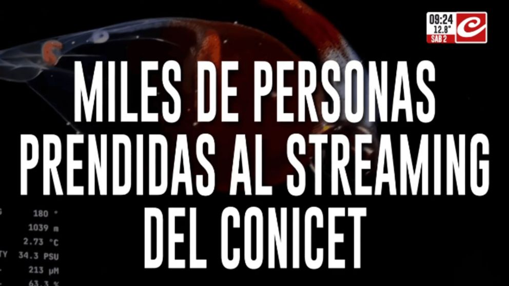 Crónica HD