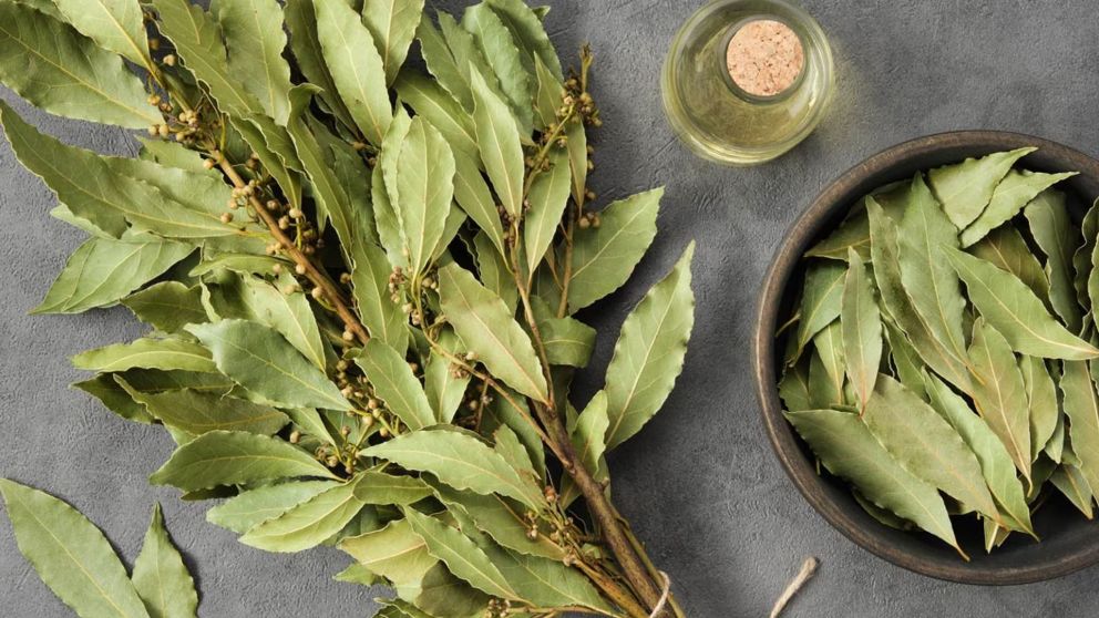 El incre�ble truco con el laurel que tienes que hacer.