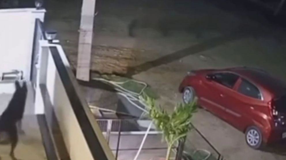 La secuencia muestra a la figura fantasmal corriendo de un lado al otro de la calle e hizo estallar las teor�as (Captura video).