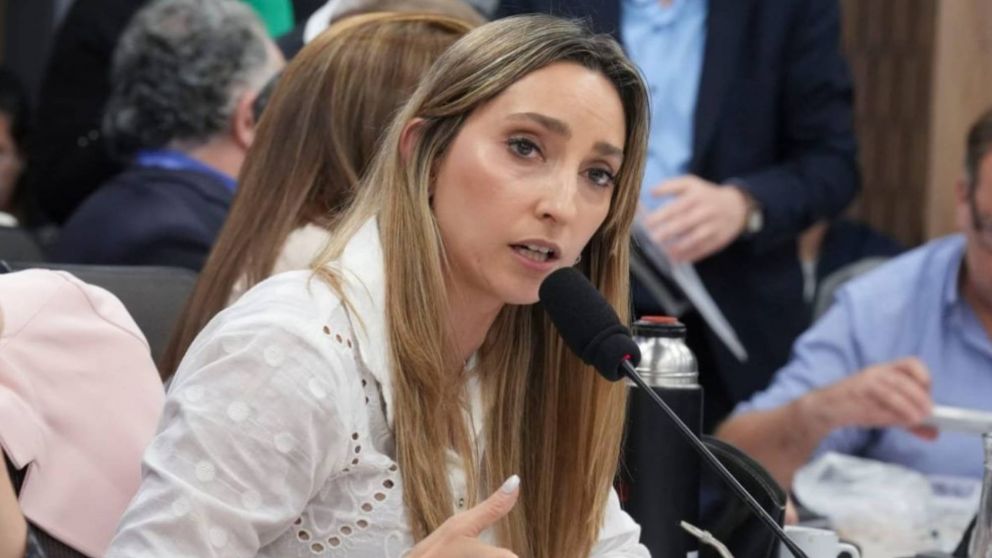 Diputados de la Comisión Libra denunciaron al fiscal Taiano por demoras en la investigación.
