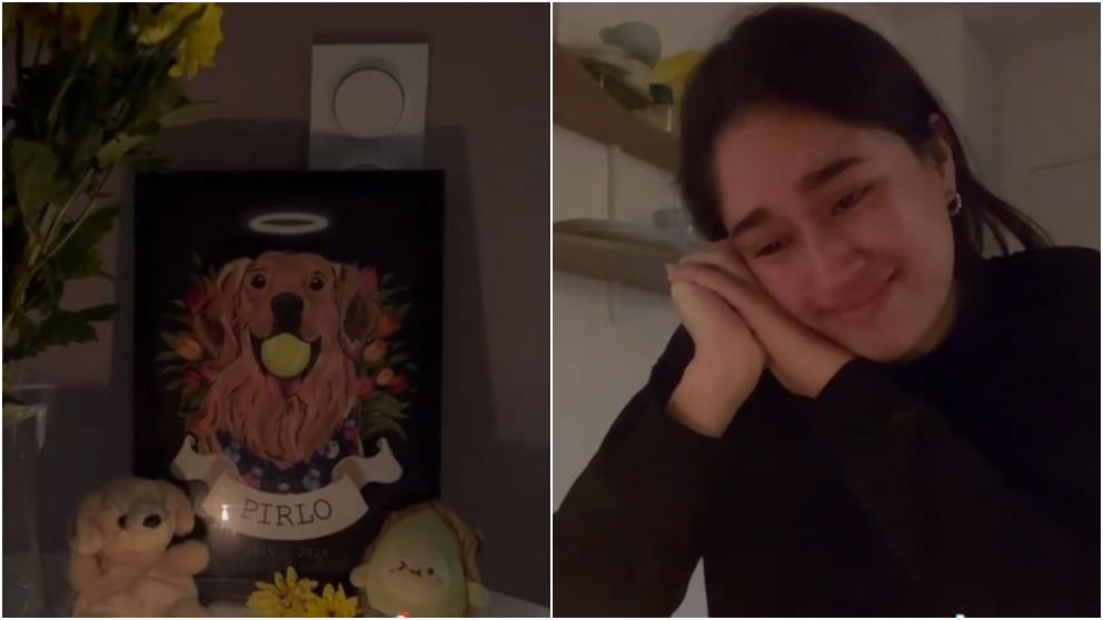 Le hizo un altar a su perro fallecido y el fantasma de la mascota la visitó.