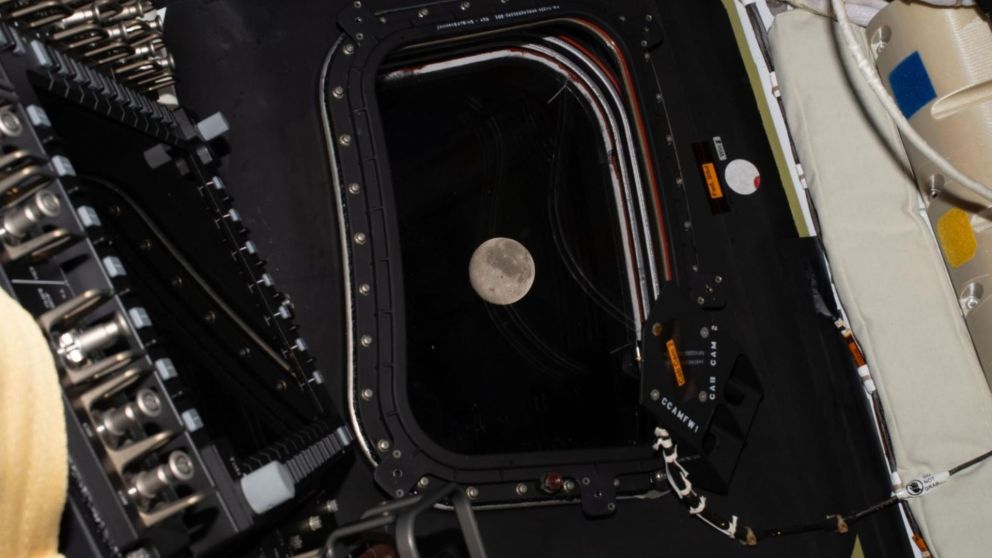 La misi�n espacial Artemis II lleva a cabo el sobrevuelo de la Luna, en un hecho hist�rico a m�s de 50 a�os del �ltimo alunizaje (Imagen: NASA).