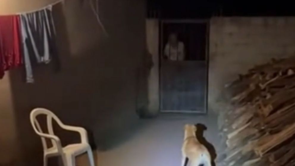 El hombre vivi� un momento paranormal despu�s de que el fantasma de una mujer intent� ingresar a su casa (Captura TikTok).