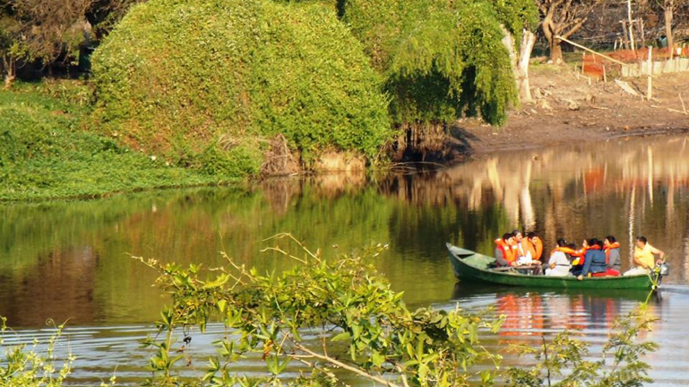 Un refugio verde rodeado de agua donde cada sendero invita a descubrir paisajes únicos y experiencias inolvidables.