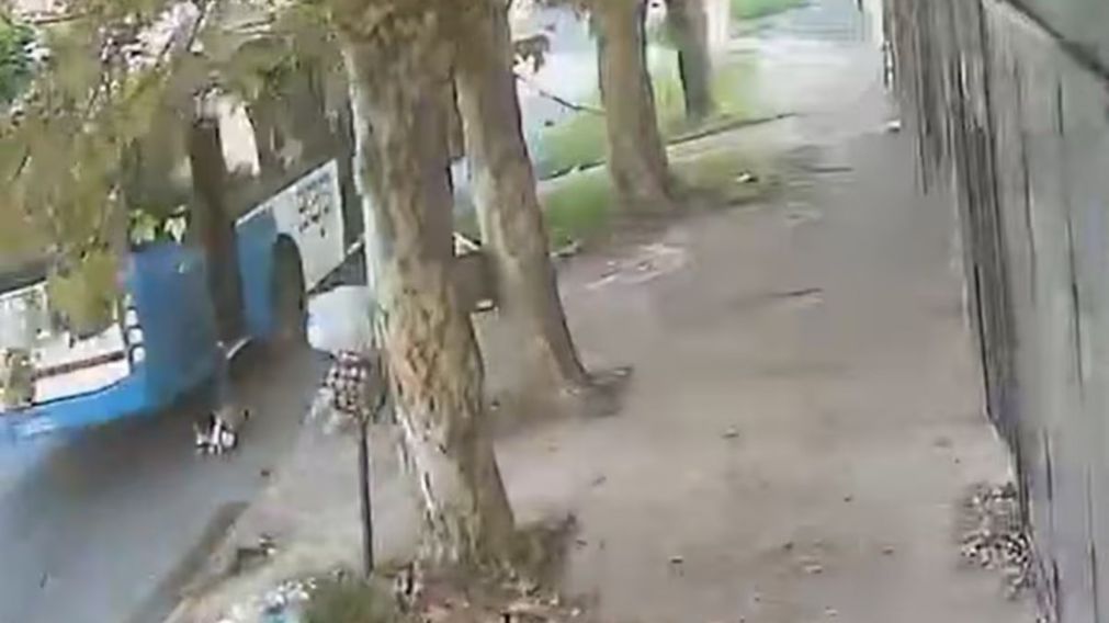 Un nene de 5 años fue arrastrado por un colectivo tras quedar atrapado (Imagen captura).