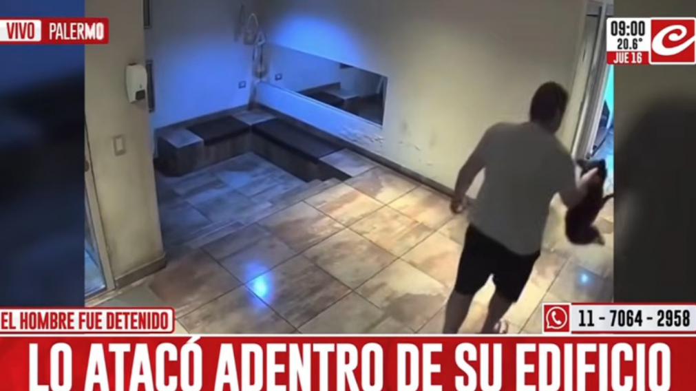 Locura en Palermo: descargó toda su furia contra un perro, le dio brutal golpiza y quedó escrachado en video.