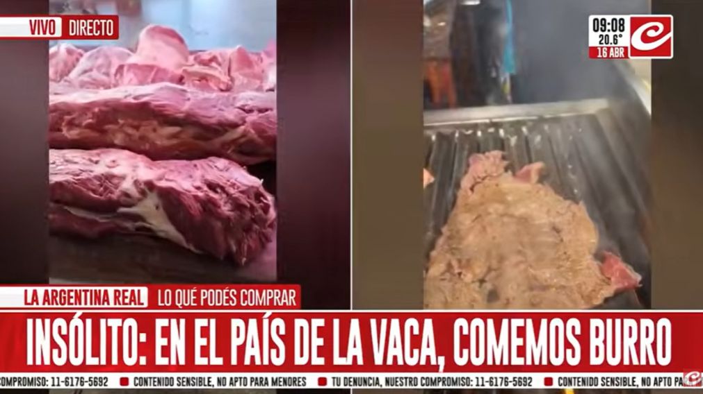 Una prueba piloto de venta de carne de burro se realizó en la provincia de Chubut.