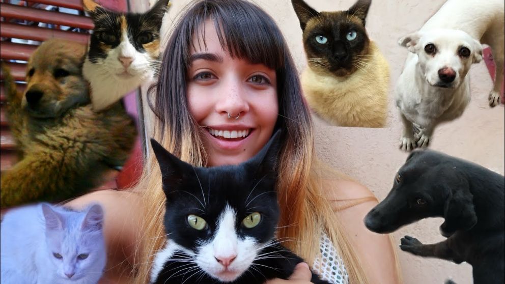 Maria Becerra sorprendió con una faceta desconocida: "Barbie soldadora" y un gesto de amor por sus mascotas