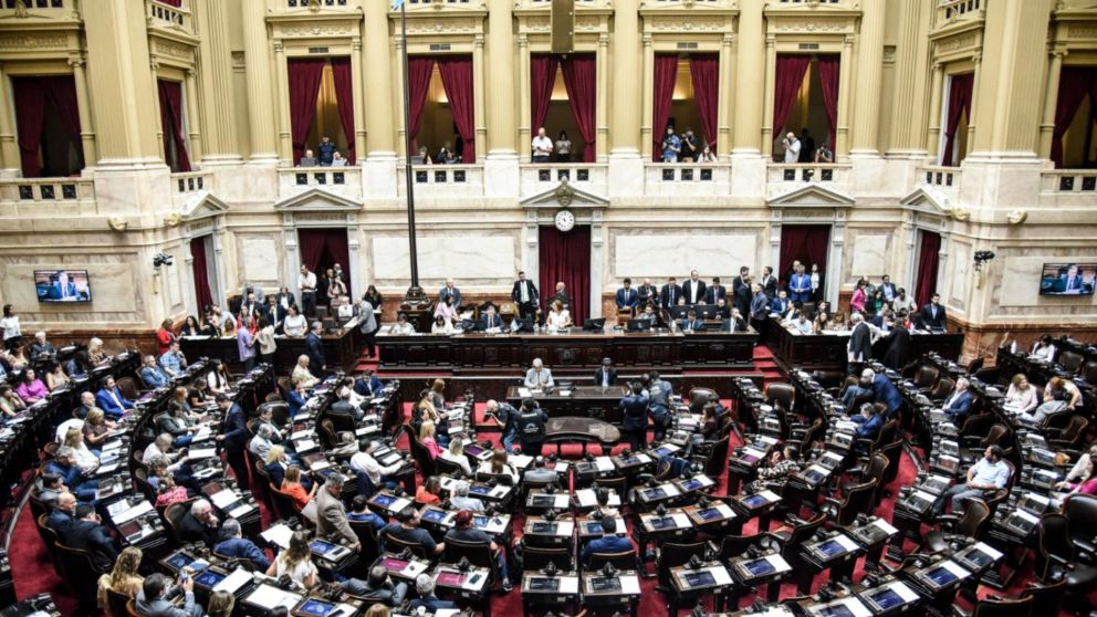 Ambos proyectos ingresaron a la Cámara de Senadores para su tratamiento (Archivo).