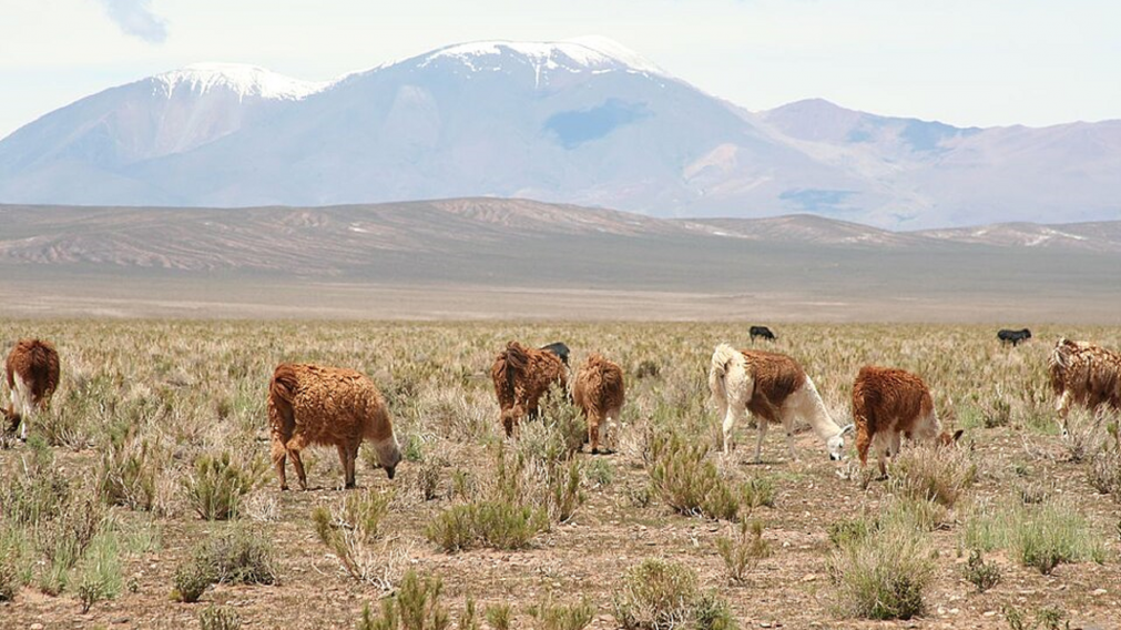 Refugio de silencio: una auténtica reserva natural para desconectar del mundo
