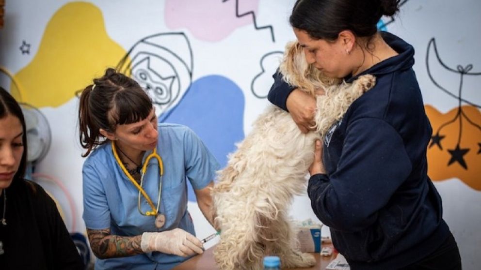 Quilmes refuerza la salud animal con un nuevo operativo en La Ribera