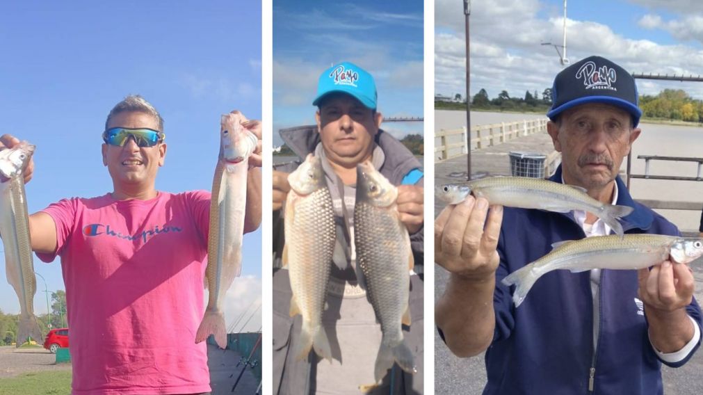Crónica Pesca: el pique de la semana, noticias y detalles claves.