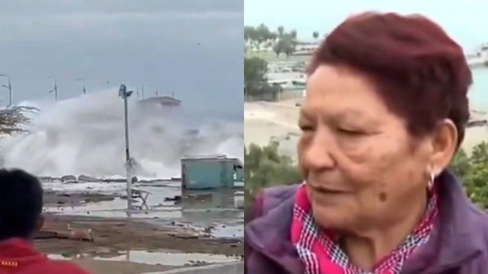 La abuela peruana que se convirtió en tendencia en las redes sociales.