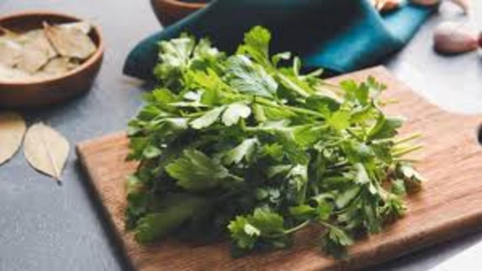 ¿Cuál es el método efectivo para mantener el perejil fresco?.