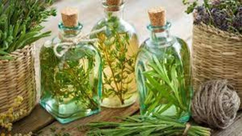 Receta sobre como preparar caña con ruda.