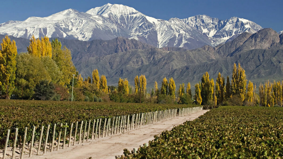 Postales de montaña, viñedos de altura y horizontes despejados que invitan a descubrir un rincón único.