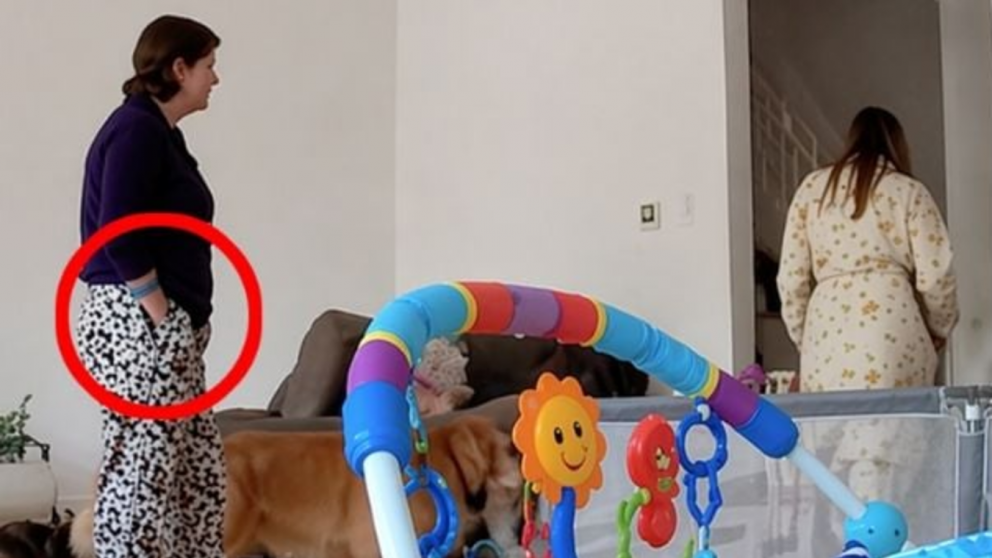 Mataron a una ex reina de belleza y la principal acusada es su suegra: �Qu� es el "enmeshment"?