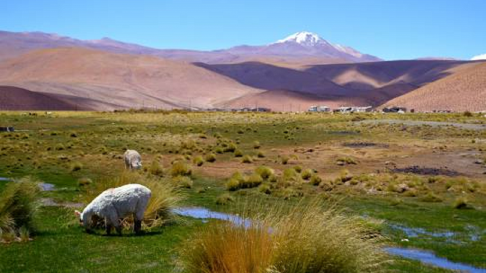 Colores intensos, silencio absoluto y una inmensidad que transforma cada mirada en una experiencia inolvidable.