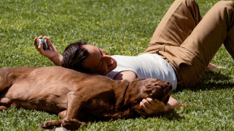 Luciano Pereyra emociona con "Cuando la vida duele": una historia de amor junto a su perro Poncho