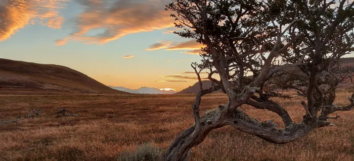 &nbsp;Un rincón del sur donde el invierno se vive con intensidad y tradición.&nbsp;