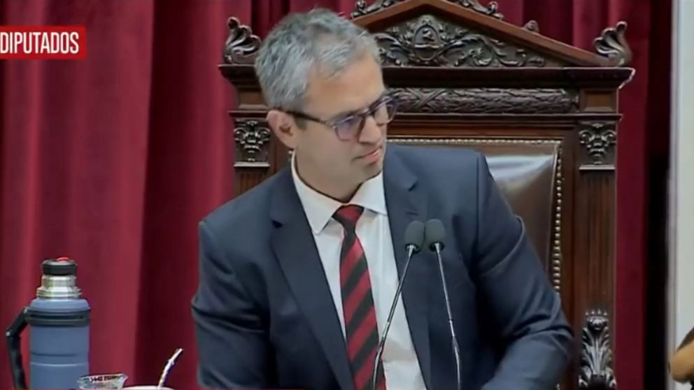 Polémica de Martín Menem en Diputados.