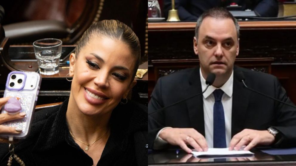 Mientras Adorni daba explicaciones en el Congreso, Virginia Gallardo se maquillaba y gener� repudio en redes: "El reflejo absoluto de..."