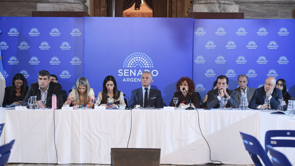 El Gobierno present� en el Senado el proyecto de modificaci�n de la Ley de Salud Mental: los principales cambios