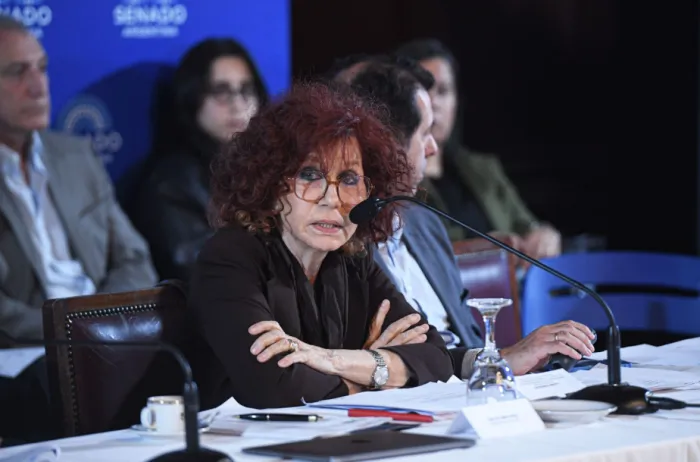 El Gobierno presentó en el Senado el proyecto de modificación de la Ley de Salud Mental: los principales cambios