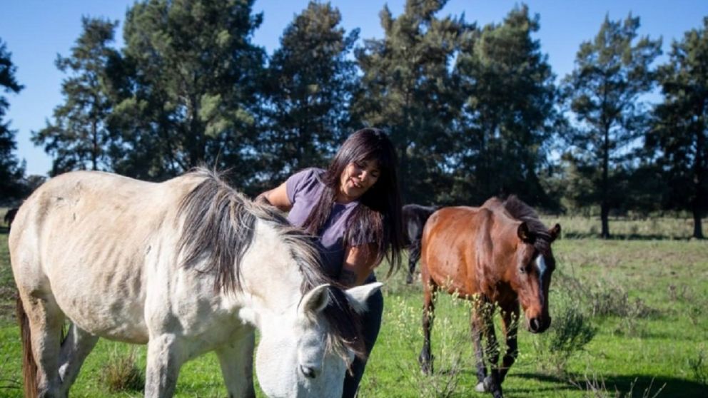 Eva Mieri visit� Caballos de Quilmes y destac� el trabajo de rescate animal