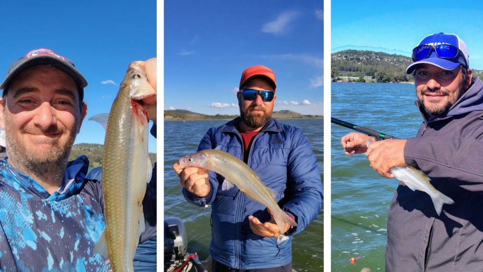Crónica Pesca: el pique de la semana, noticias y detalles claves.