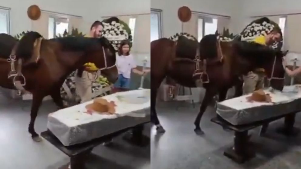 La yegua que despidió a su dueño con un emotivo gesto.