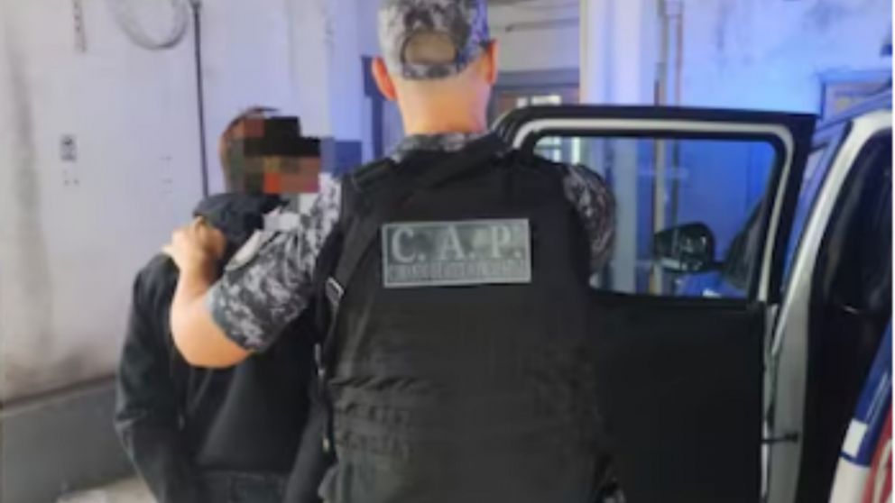 El presunto ladr�n qued� a disposici�n de la Justicia.