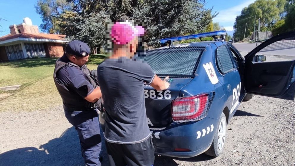 Robó cuatro gallinas "para comer", lo detuvieron y enviaron al calabozo