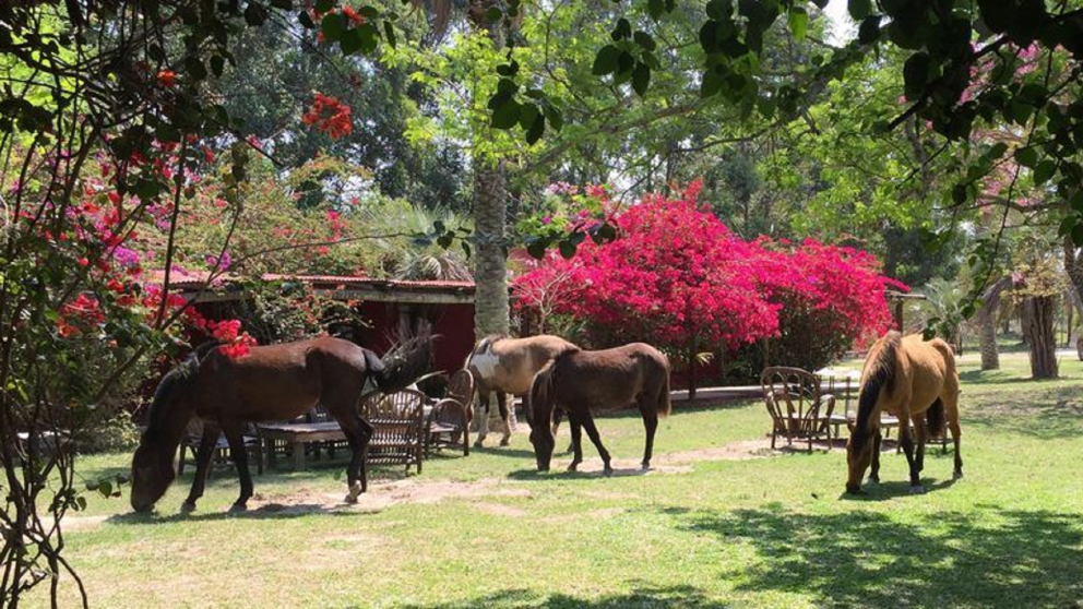 La combinación entre naturaleza, tradición y tranquilidad convierte a este rincón correntino en una escapada ideal.