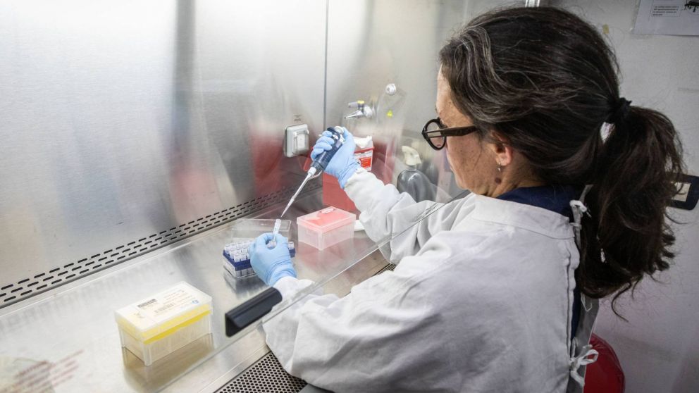 Ante el diagn�stico de hantavirus, Argentina asiste a pa�ses europeos con insumos