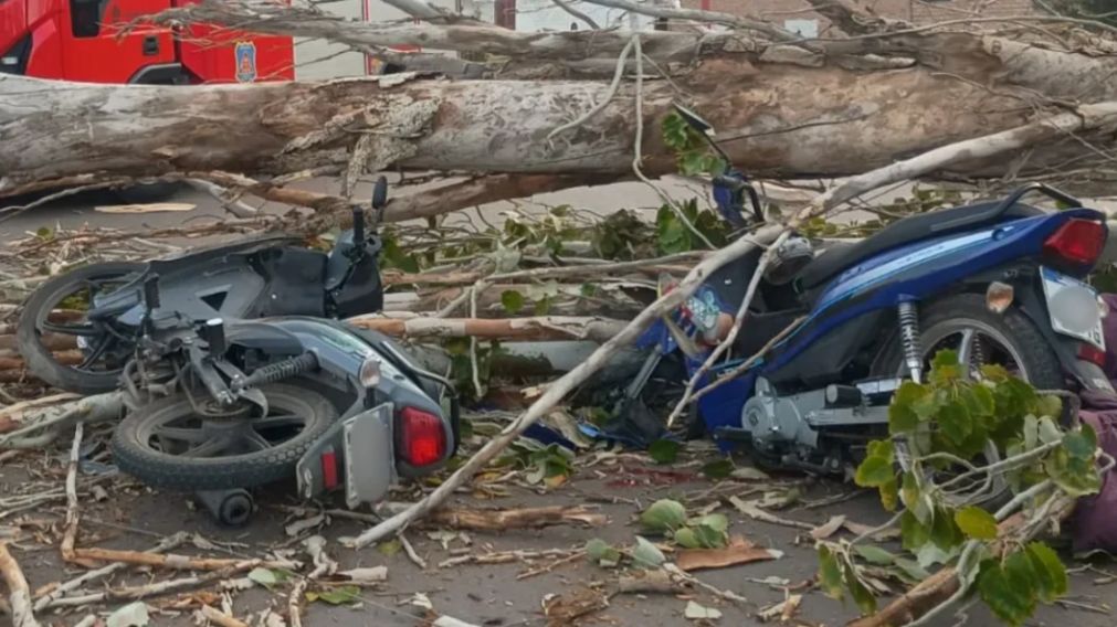 El árbol cedió ante la violencia del viento justo en el momento en que dos motociclistas circulaban por la zona.