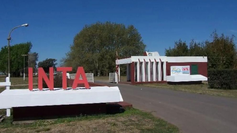 El Gobierno estableci� un plan de de retiro voluntario para empleados permanentes del INTA durante mayo de 2026 (Imagen ilustrativa).