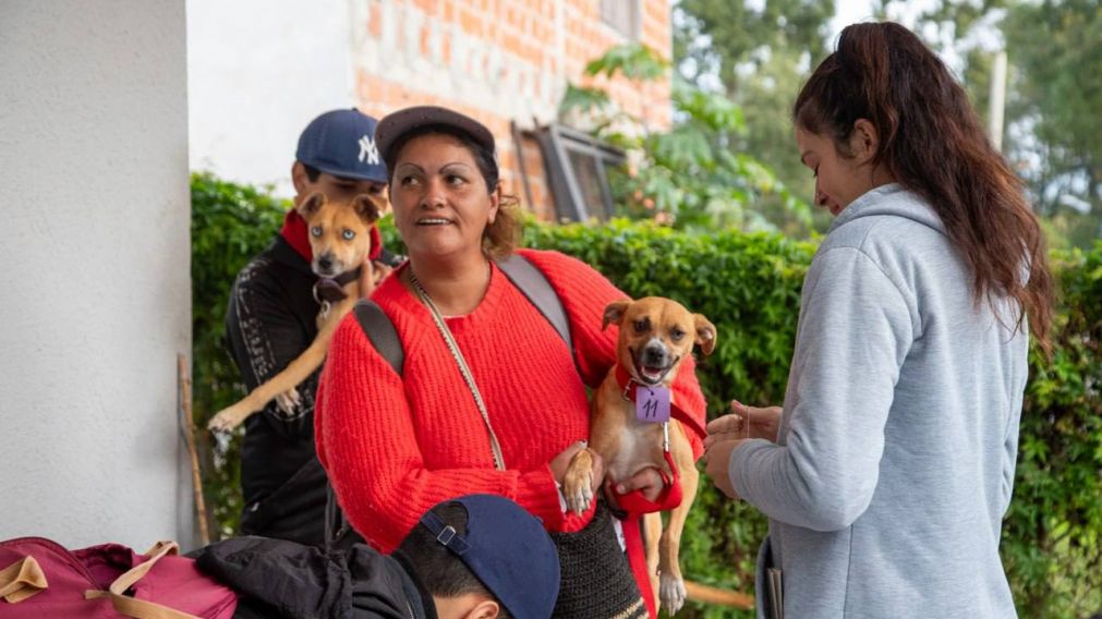 Nuevo operativo para mascotas en la Ribera de Bernal